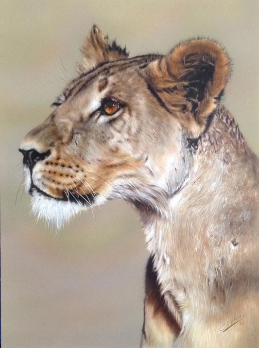 Lion Marissa