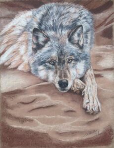 Wolf